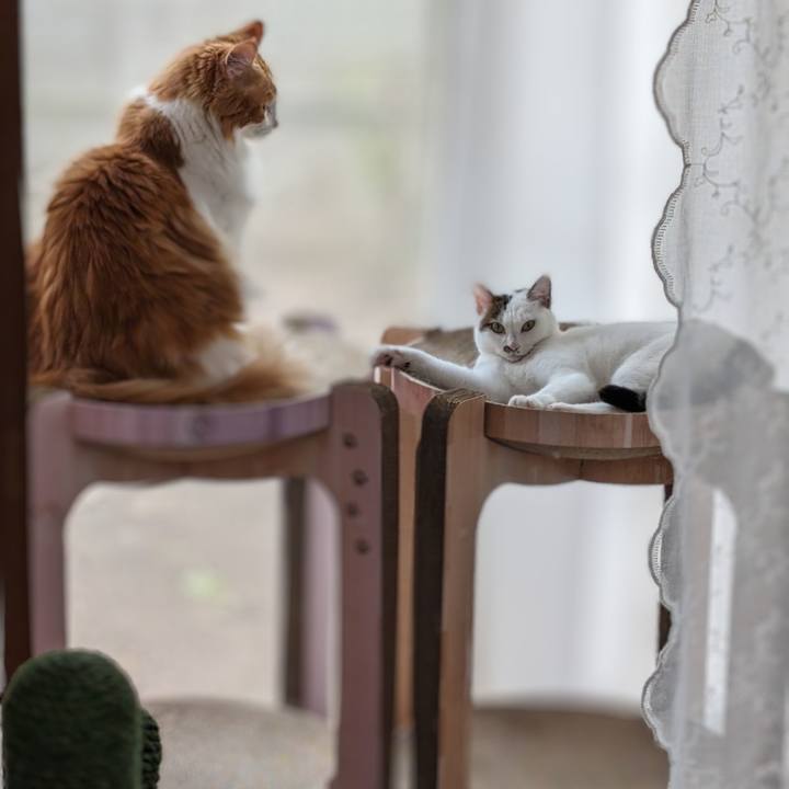 C6a64da9 e874 4441 91f4 4d1ae70e0664 1699277535386