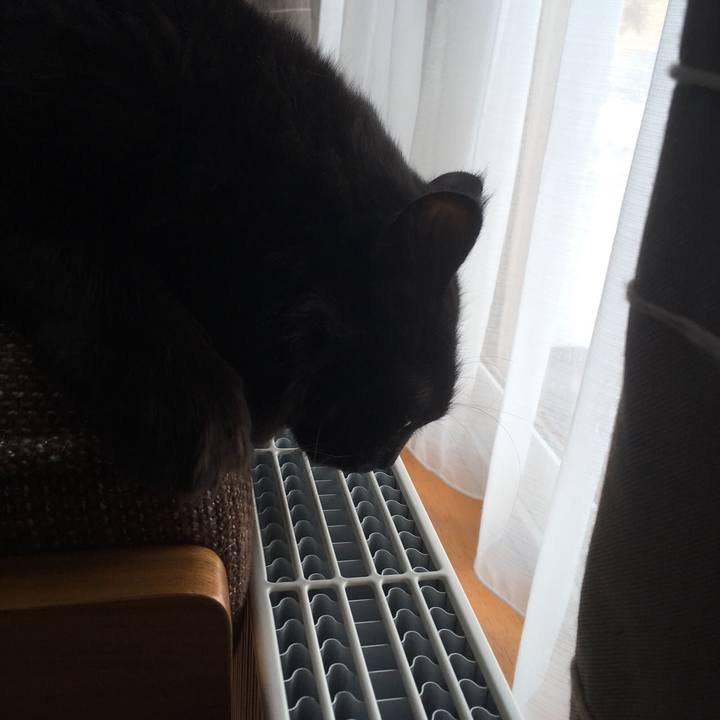 C6a68e8b 0214 41c9 a21d 222501809e85 1516014817124