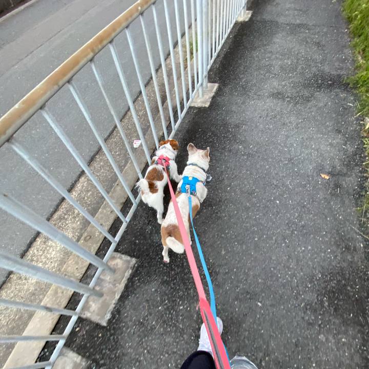 C6a69851 fd97 41d7 8a60 13cab38e51fa 1710971506933