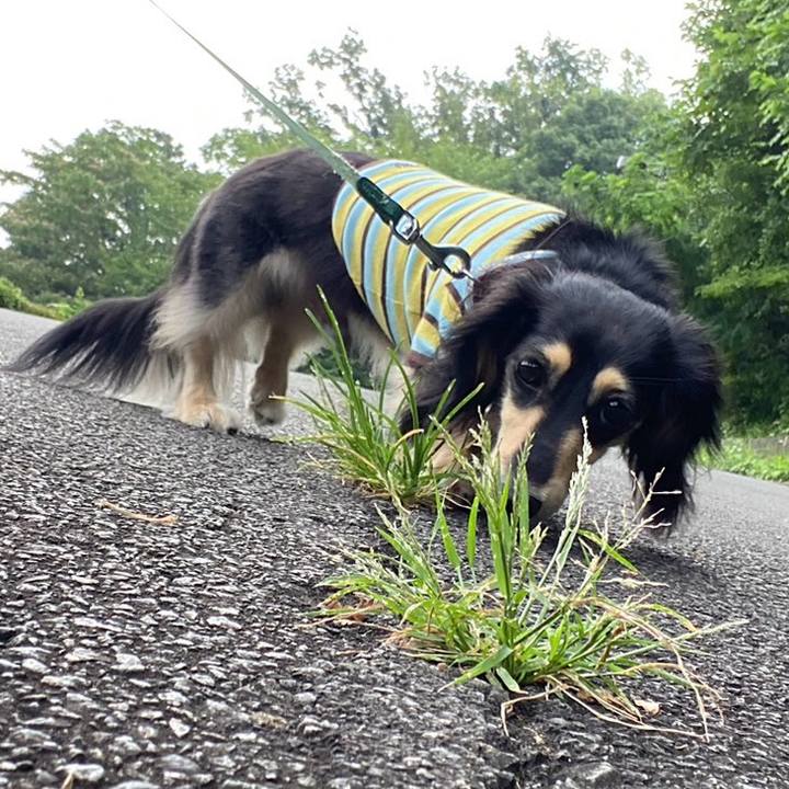 C6a6cdfa b5ef 4ed5 af0d f03698013817 1751842513645