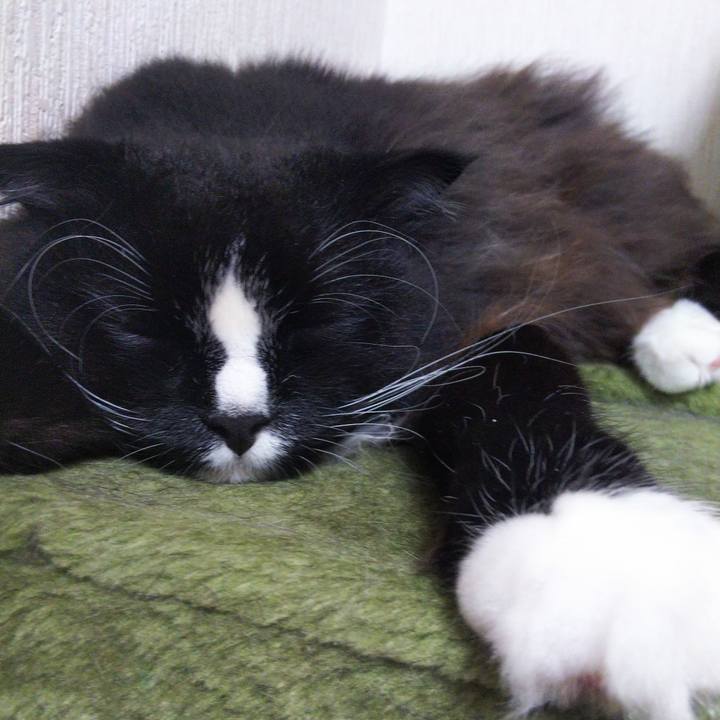 C6a6d63f 9452 4967 b843 ddbb7bf3081d 1662602130325