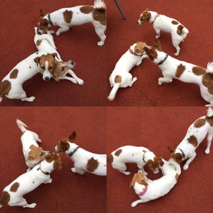 C6a6f2e9 dfed 4bfd a2c1 09a694b95cef 1551867195499