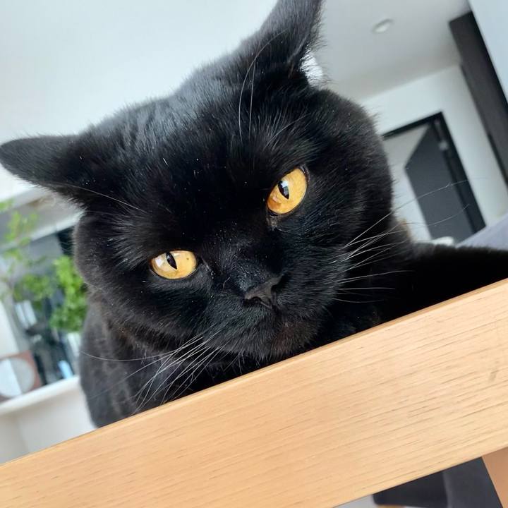 C6a70556 c202 4a4f 81f0 52cf3f3c1e29 1653295879706