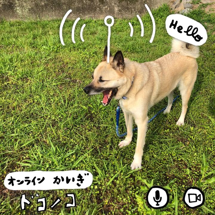 C6a70fd7 6dfd 4d8a 9a69 4e0d09f856e6 1590838433064