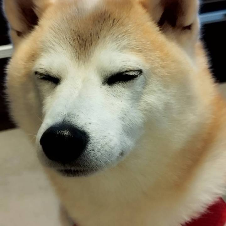 C6a71303 ae53 40d3 b5ac 2ec87a19ef61 1732924800345