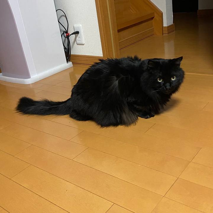 C6a725b4 e377 443d bc30 8bc9b5b1dc7b 1615476776112