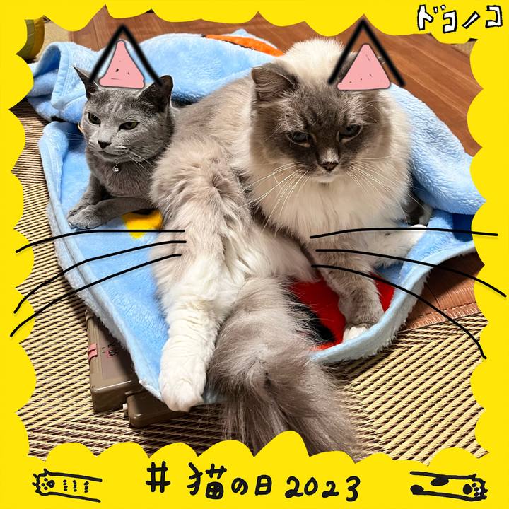 C6a73b72 67e9 4313 ae01 514f4eec9c6e 1677034872770