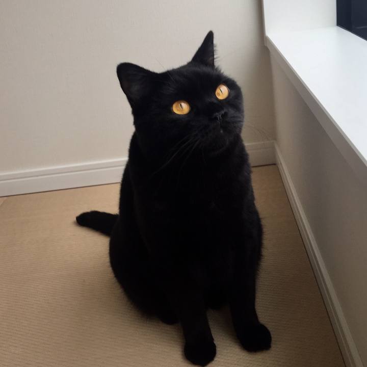 C6a763b2 c243 40eb 90c0 288d098cef1c 1535755513534