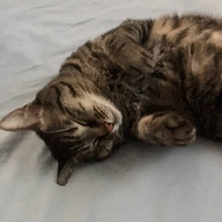 C6a76646 5e57 4d90 9b1a 3a8e3d883f6b 1593424443471