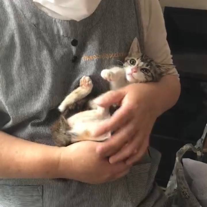 C6a768ab 85cd 4f58 94c4 5632330ed0c7 1629121489511