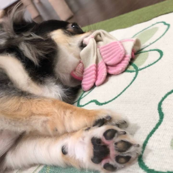 C6a779ac d752 4ab8 bc67 cb516f9a70d5 1567135709254