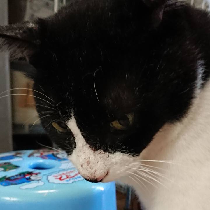 C6a79289 275a 40cd 8175 7b5a2486cd44 1538897876705