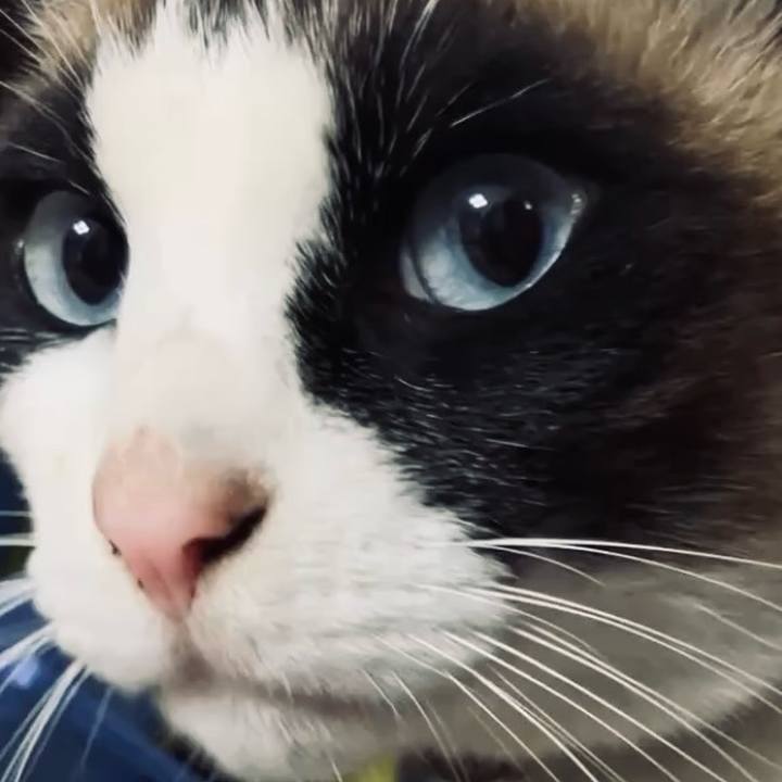 C6a797a6 7798 4a38 8f04 67371e4e736c 1740966943770