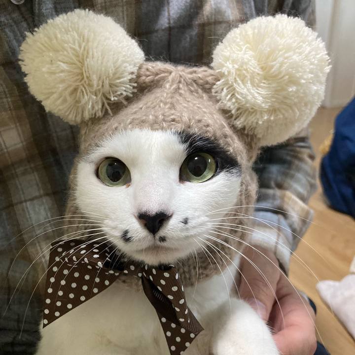 C6a7ac98 0137 4372 a309 1ae2202231f8 1766568882098