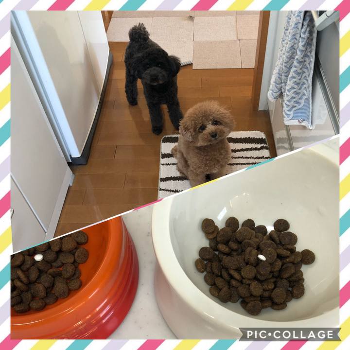 C6a7b79e ce73 4043 9322 8f7ad0ed9603 1606808253575