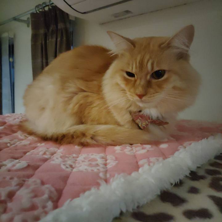 C6a7d21e a714 412a bf9b 9b4efd815875 1701035630524