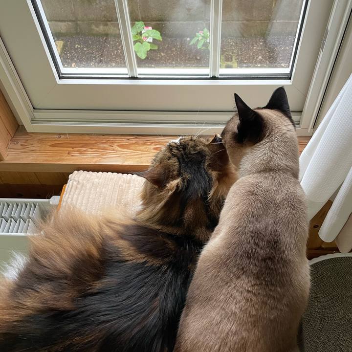 C6a7efb4 bd0a 41d0 a383 e95973a5b6c9 1748121295029