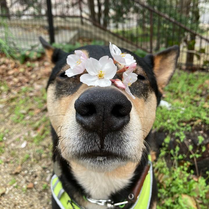 C6a82281 71b2 448d 8dfb 07fe3979222b 1648355486204