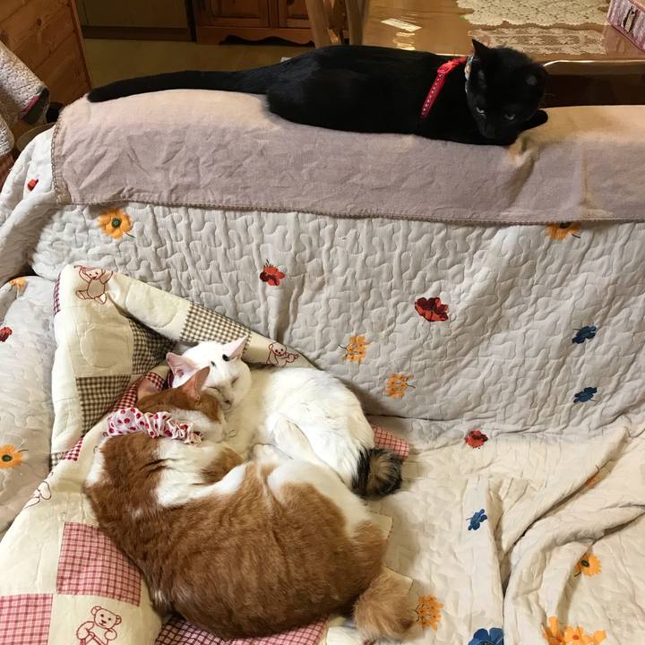 C6a83743 320e 42a2 aa8a 0adbe6544413 1568623937198