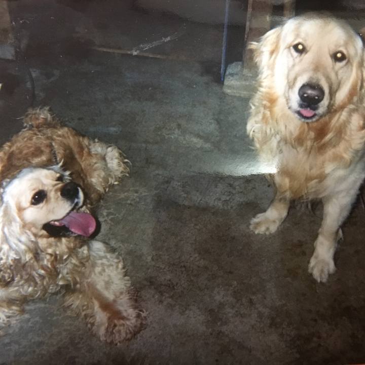 C6a848f3 9e66 4674 ad3a f3038df7c559 1524666806511