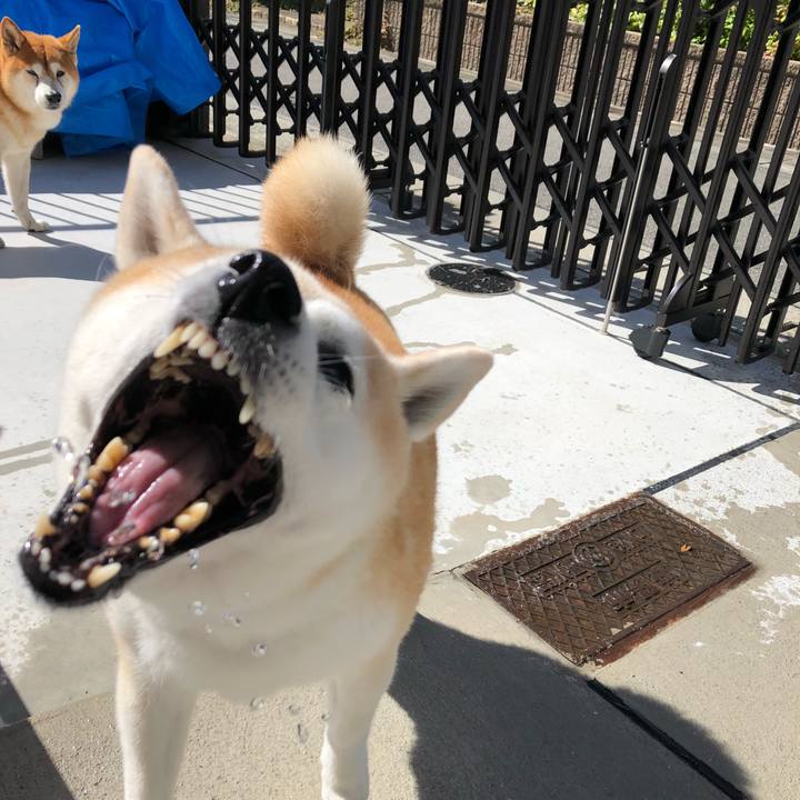 C6a84c4f 18a2 48aa 9a62 399145cae2cb 1538970032595