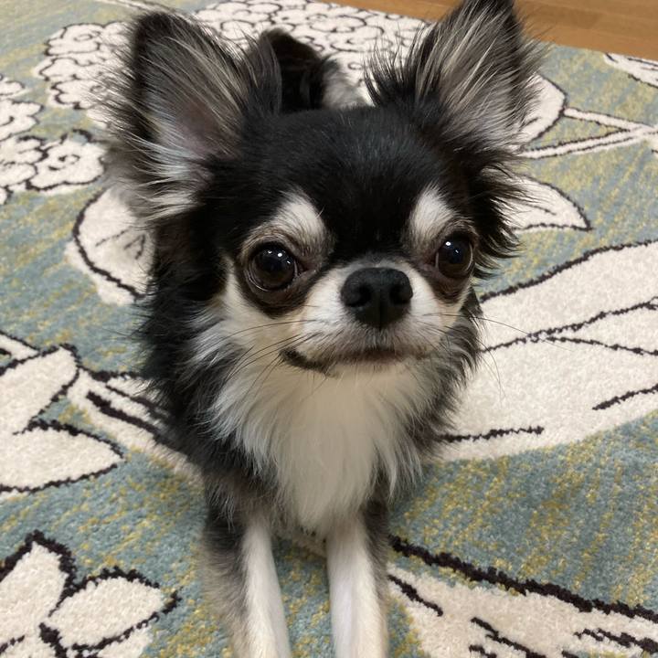 C6a85af6 d554 4fef bef2 a3003e1178a5 1624765809616