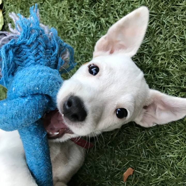 C6a886dd e780 4a9c b44c 72abb9a5560d 1531352253513