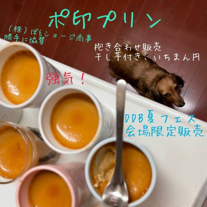 C6a89743 7fd6 4e2f 903a 168e44e77754 1660331291593