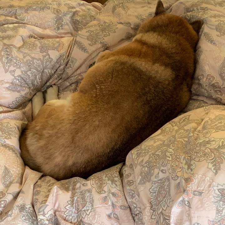 C6a899d9 3d85 4ed5 bb4b 576122e835b2 1575544824123