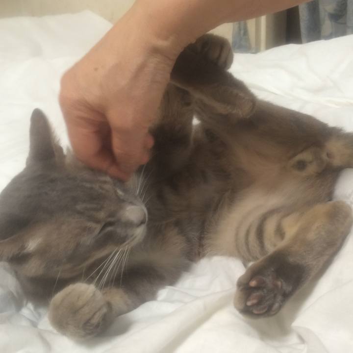 C6a94177 3957 4650 9837 dc55e1a5b37f 1530539317397