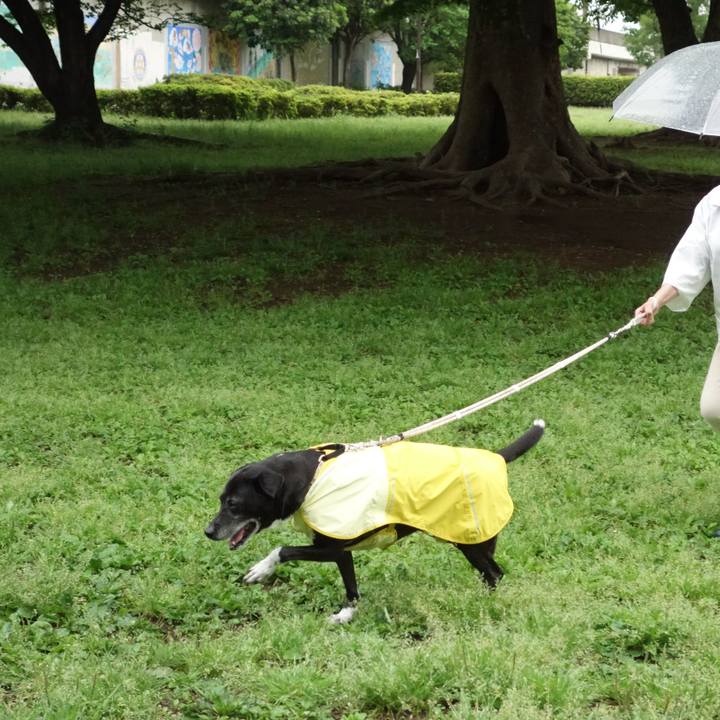 C6a96371 2133 4da9 a5fc 8d4c62141f7f 1746489036683