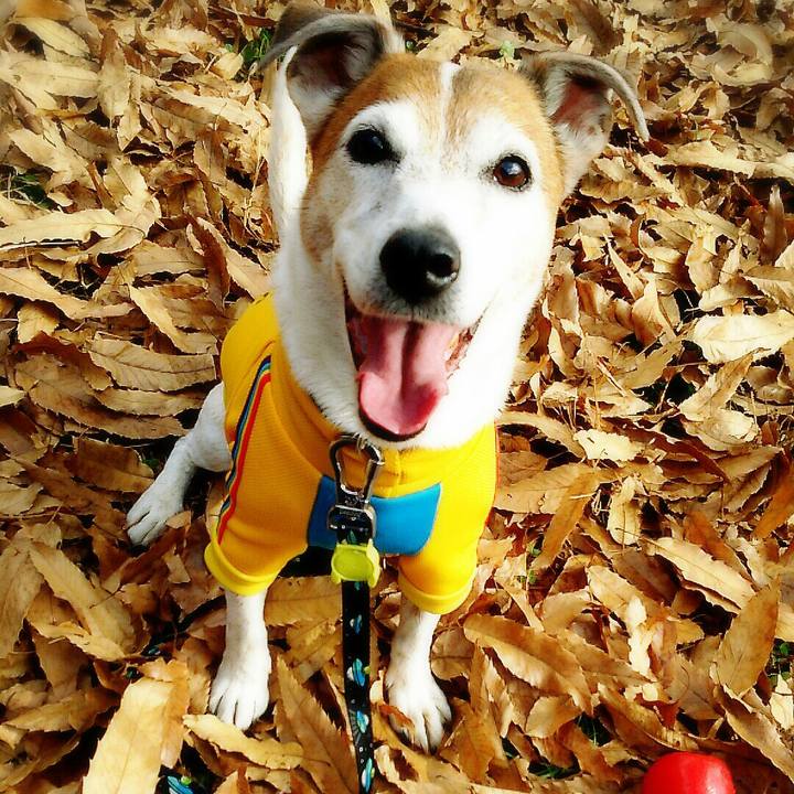 C6a96536 f31f 4368 92a8 9e96510751c4 1514639226067