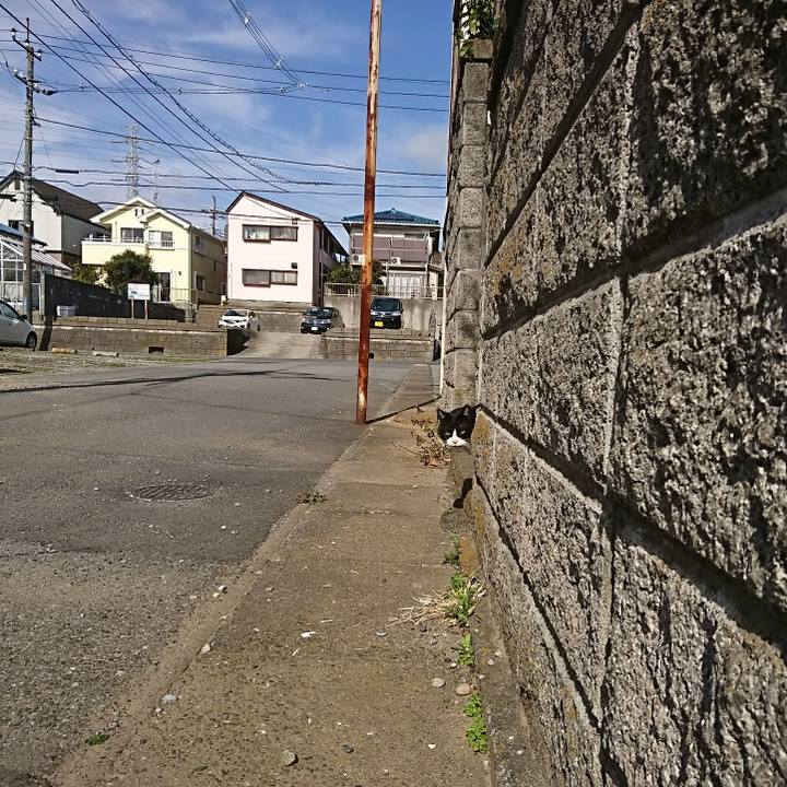 C6a9669c 0cae 43b1 a6f7 13c1e06ddfc6 1520389720136