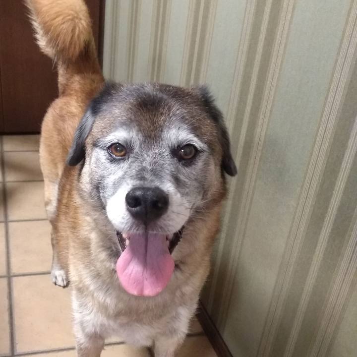 C6a9a5ac 69fb 4ea6 9a79 36049cd25b37 1566810107074