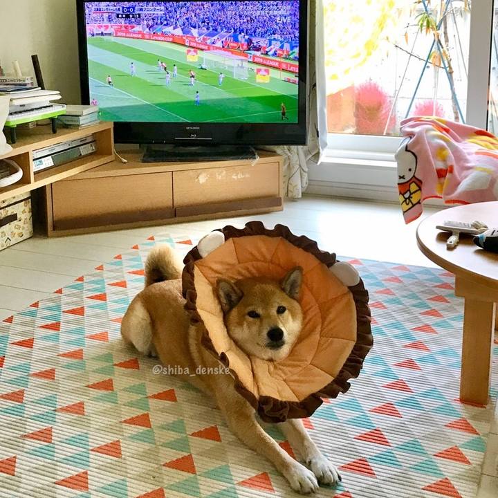 C6a9d9b1 d19e 46f1 8ec8 a657c9b91a1c 1572073986238