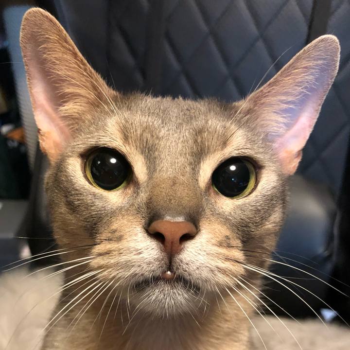 C6a9df19 a998 46fc 8fe9 8c0e844487bb 1764216209631