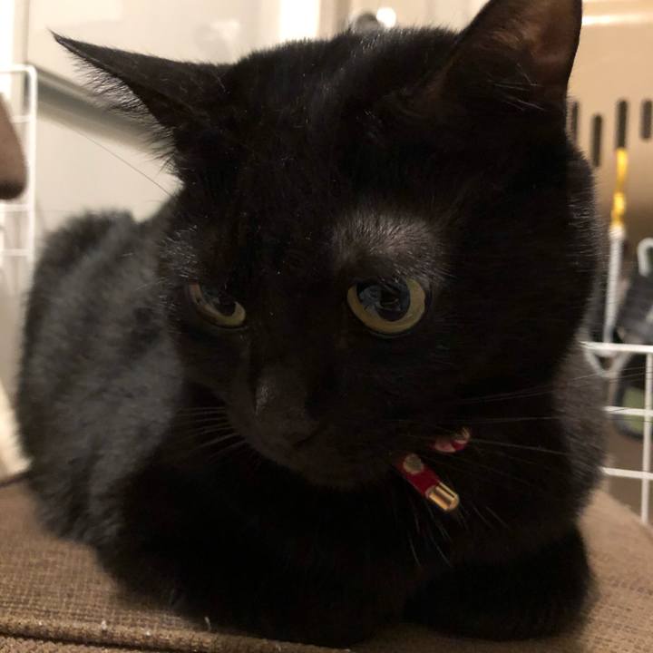 C6a9ed80 b5fd 4654 a507 39698cb33075 1607083576095