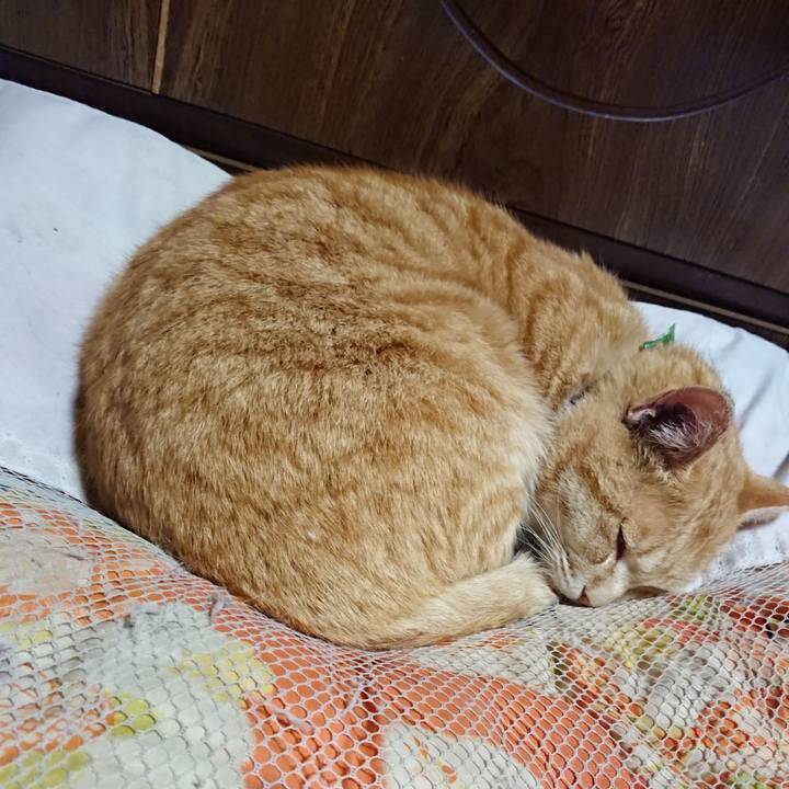 C6aa55d2 0481 45f5 9c2c bbbf9cfcc20f 1585746348236