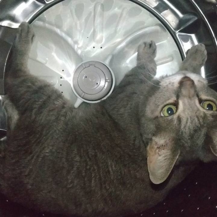 C6aa6fc3 3217 4b94 b2f7 f84a3df7d591 1689167176279