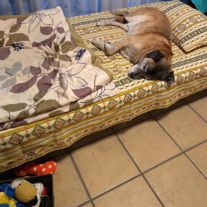 C6aaa979 30d9 40ce b57f 343c50d534f8 1548029776243