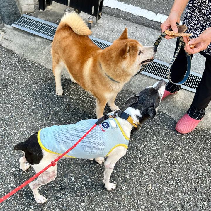 C6ab3b35 6d9d 479e 9347 53a76436cf93 1658537571686