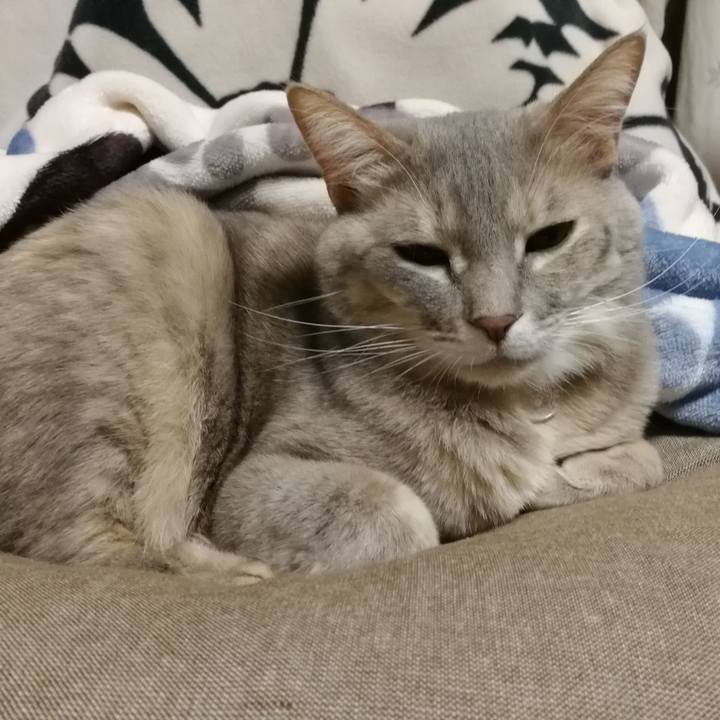 C6ab47aa b01e 4103 bd84 7c939514560e 1547736284153