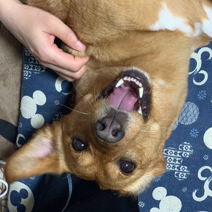 C6ab5bc7 b55e 4eac b630 2a5ffce6c398 1553953796507