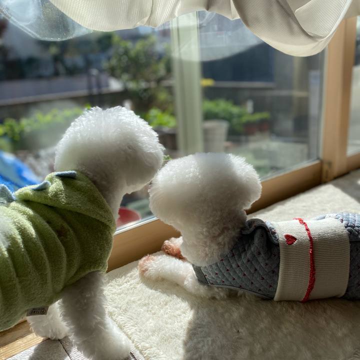 C6abb192 0570 4712 8ebb 55b79e7e2433 1763520882793