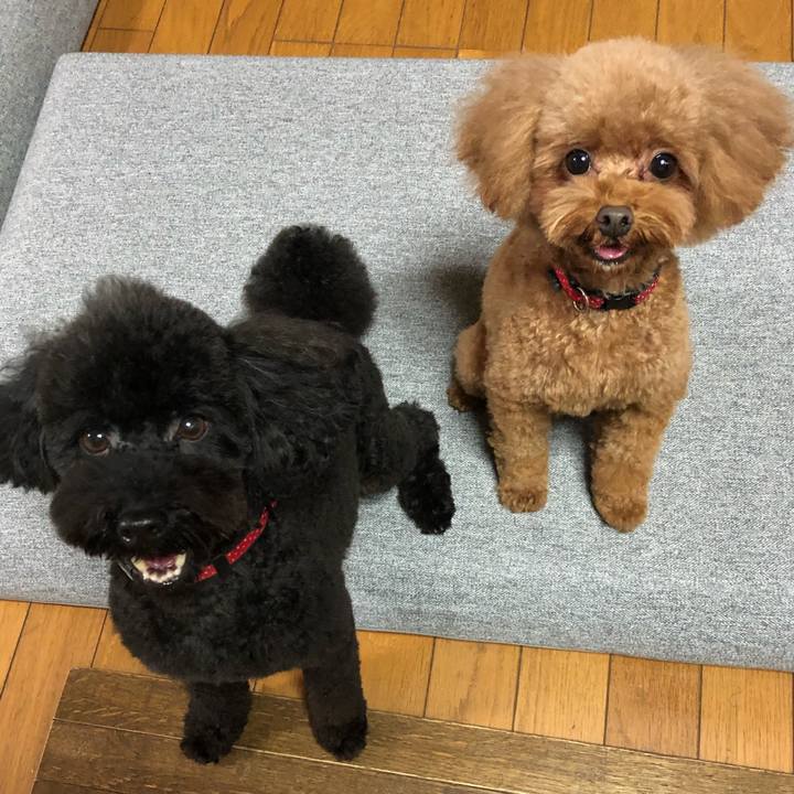 C6abdeb1 4467 46df b30a 1e5394bc2302 1603004452723