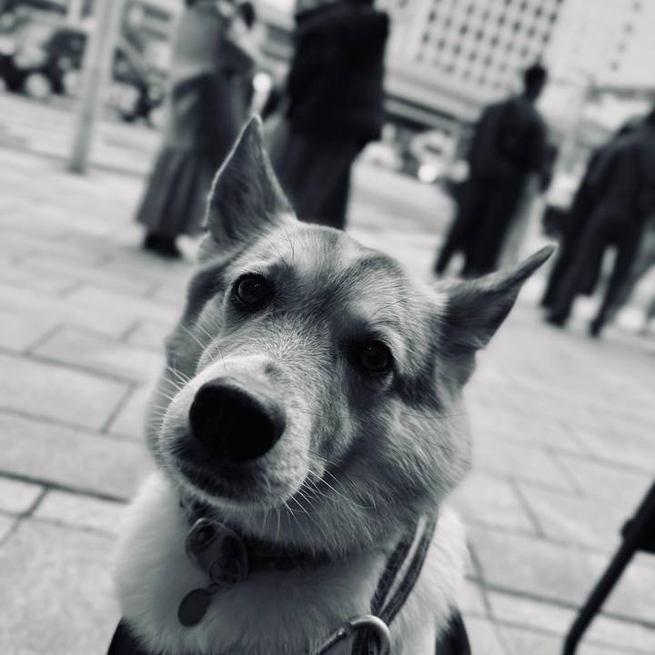 C6abea6a 7b37 46bf 8653 80328e4b246d 1766387791053