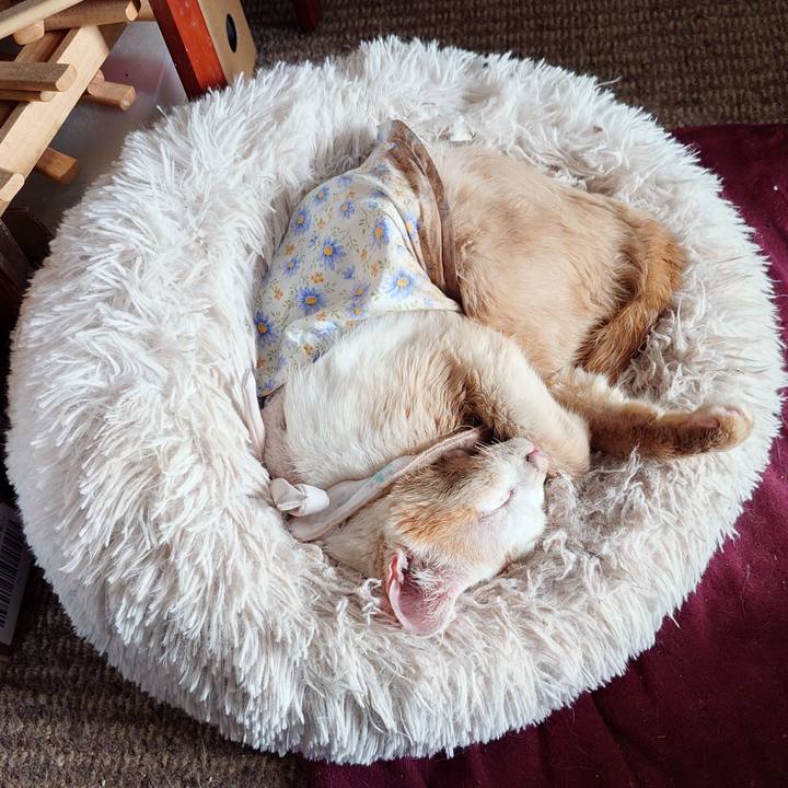 C6abf6e2 7fa9 4c15 8da3 f713e03f7254 1763876139515