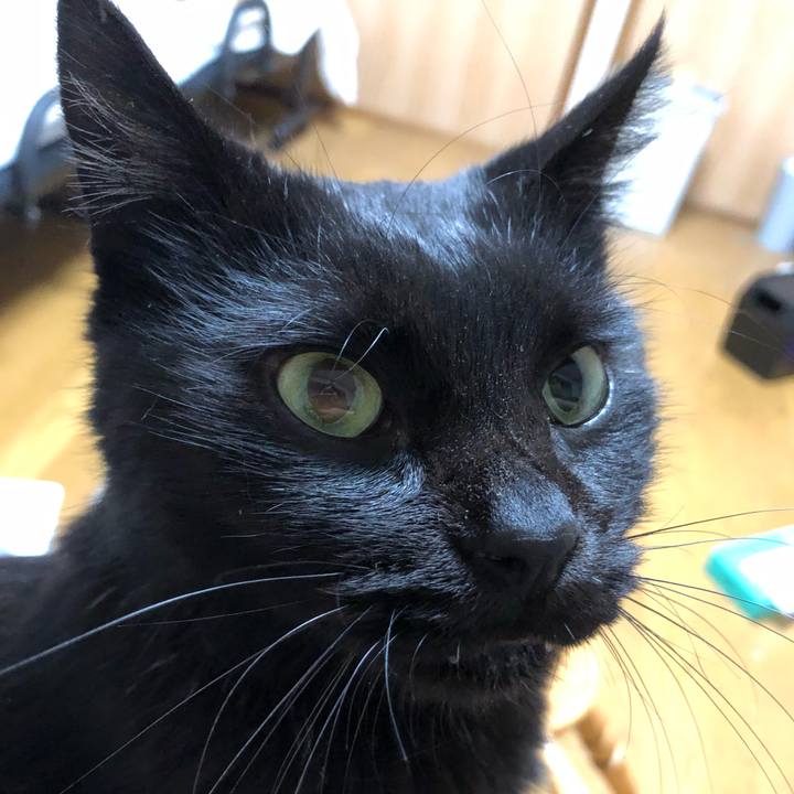 C6abfea5 4c7c 464f 9c07 11d0cf1763a7 1603017592163