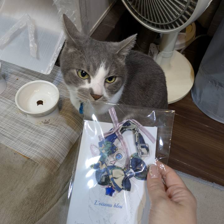 C6ac06ec adf7 44dd bb20 8eafeb22d86e 1771850683930