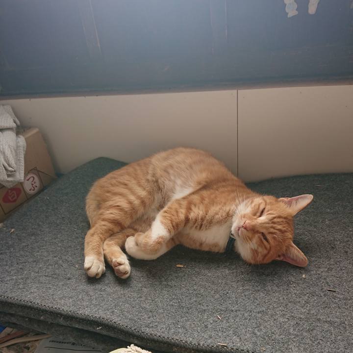 C6ac81a6 e2f1 46fd aedf 766d2d5afc16 1603587655077